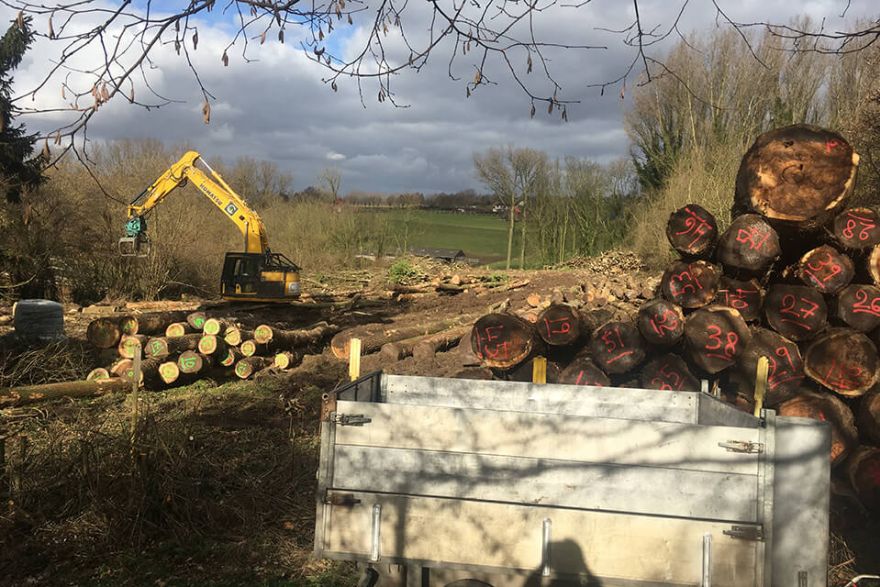 Bosbeheer Clarysse-De Wilde Waasmunster